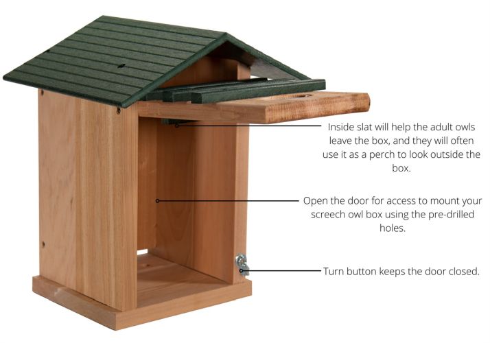 Cedar and Recycled Poly Screech Owl House Green